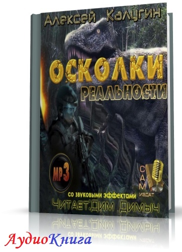 Книга осколки нашей реальности. База книг аудиокниги.